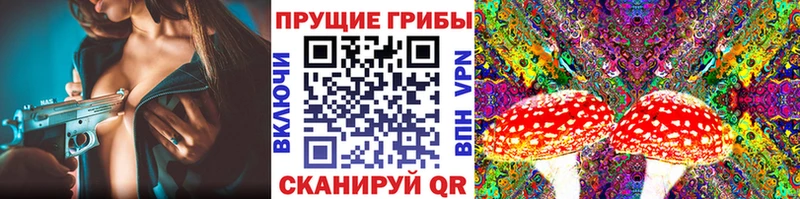 Галлюциногенные грибы мухоморы  где можно купить   Чухлома 